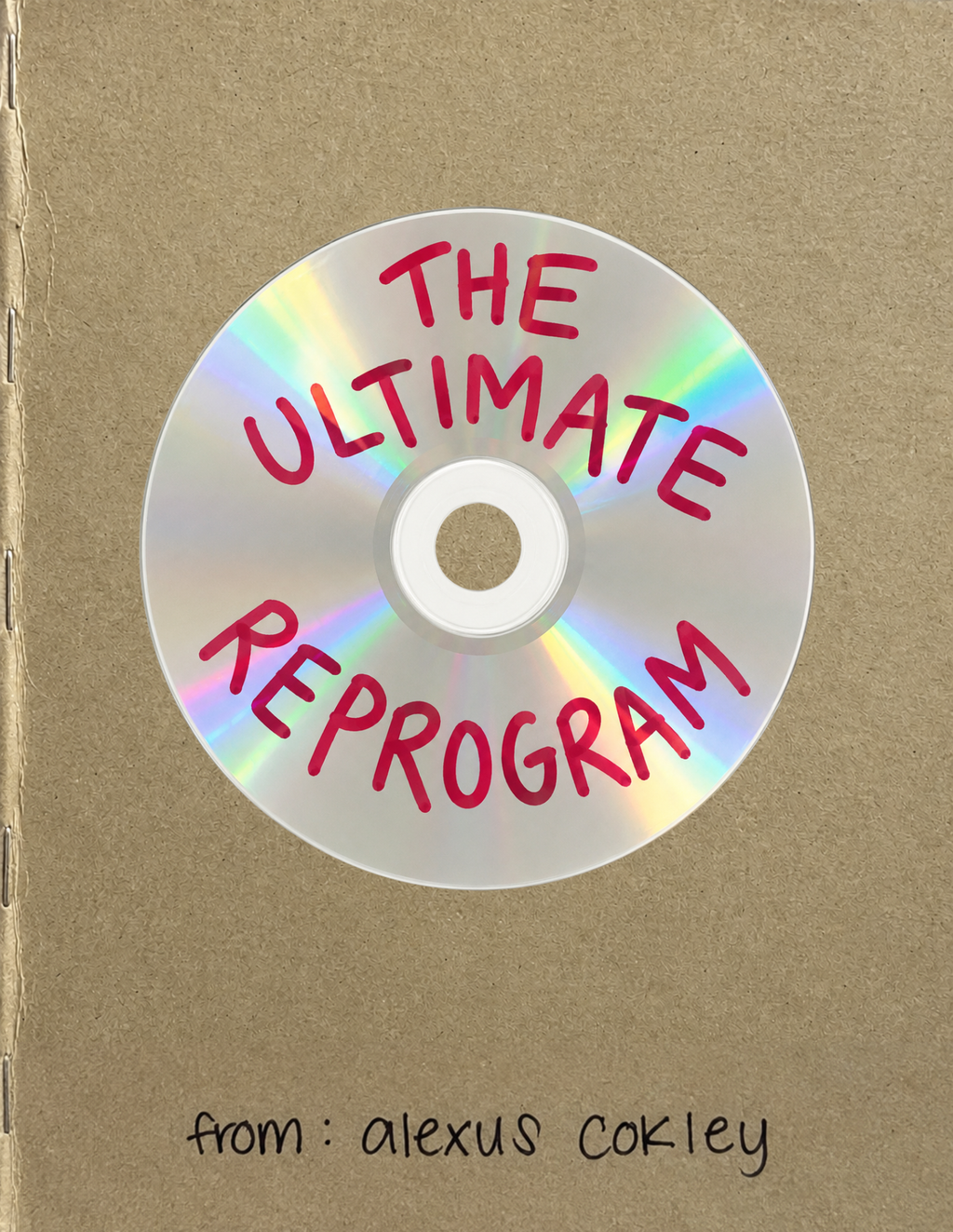 the ultimate reprogram (handmade)